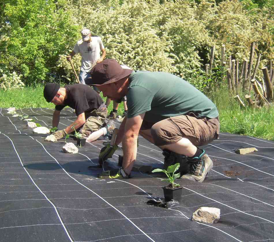 AIDEN - AIDEN Chantiers - Ferme - plantation