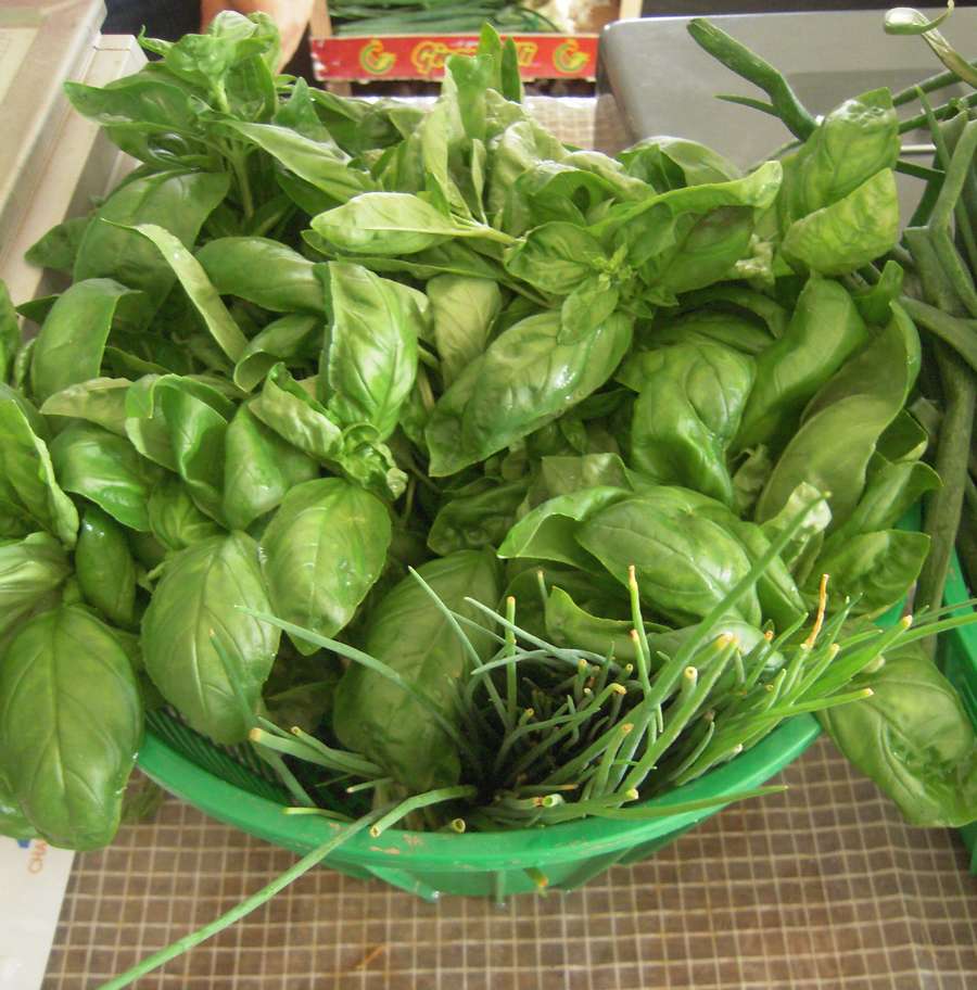 AIDEN - AIDEN Chantiers - ferme de l'abbé Rozier - aromates