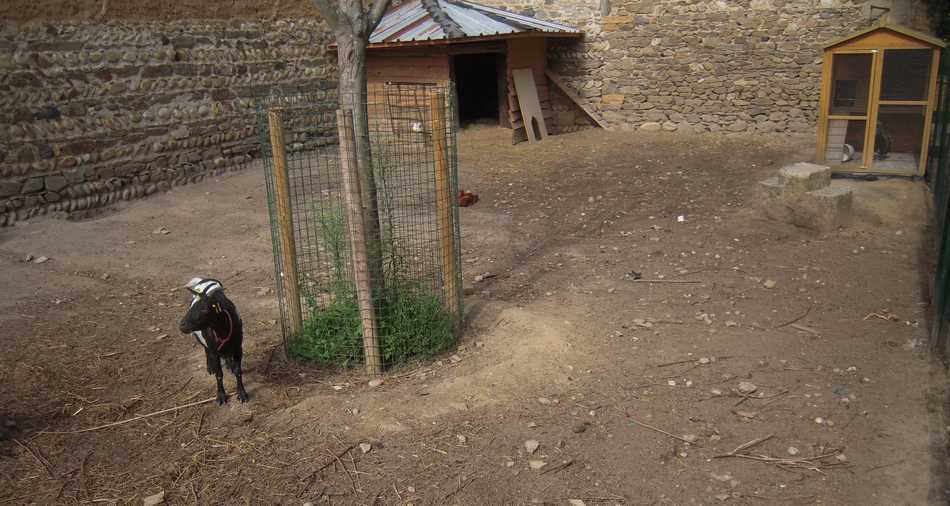 AIDEN - AIDEN Chantiers - maraichage - chevre marche