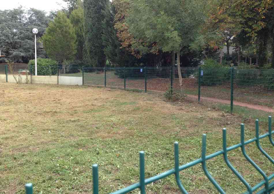 AIDEN - Nettoyage jardin Sauvegarde - apres droite