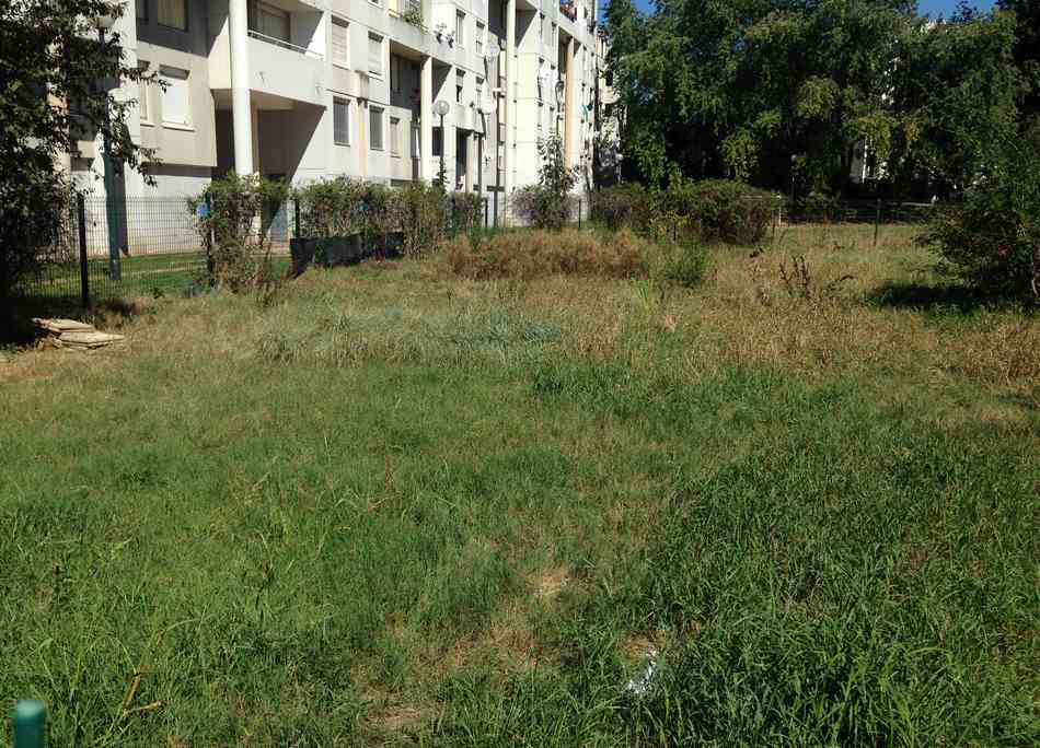 AIDEN - Nettoyage jardin Sauvegarde - avant gauche