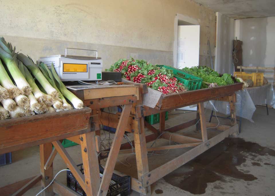 AIDEN CHANTIERS - Maraichage Biologique - marché CFPH AIDEN CHANTIERS - Maraichage Biologique - marché CFPH