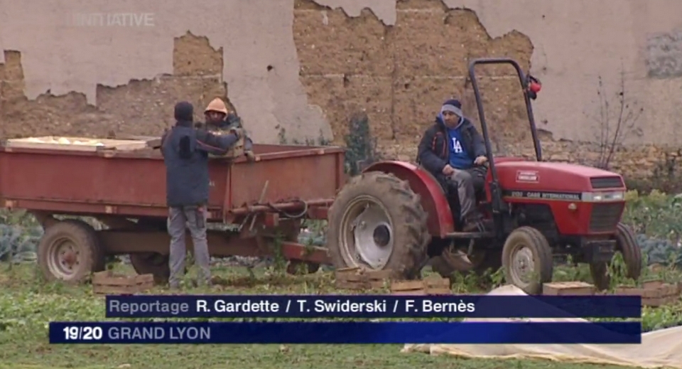 L'ACI maraichage de la ferme de l'Abbé Rozier sur France 3. 19/20 du 04/01/2017