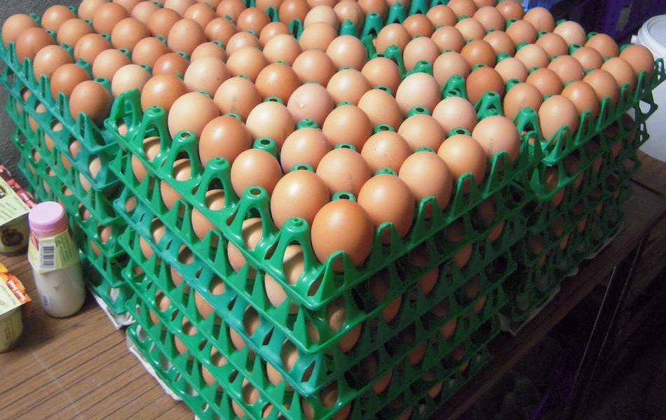 Les œufs livrés lundi 6 mars.
