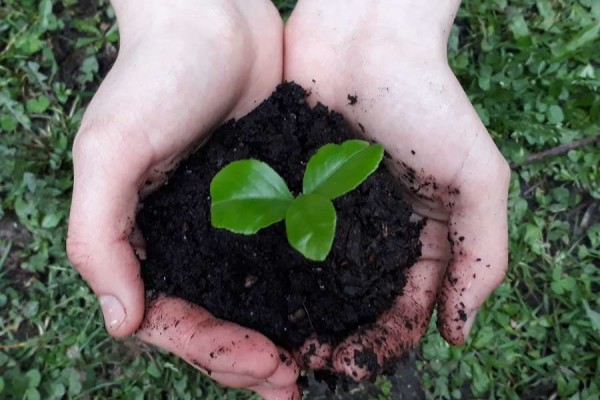 AIDEN - AIDEN Chantiers - biodechets - mains plante