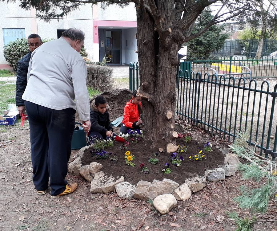AIDEN - la Saulaie - installation jardinieres - plantation