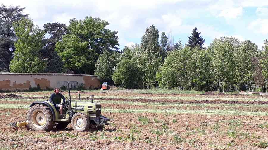 AIDEN - AIDEN Chantiers - Maraichage - tracteur
