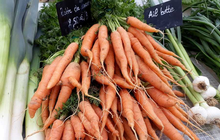 AIDEN - AIDEN Chantiers - maraichage - carottes nouvelles