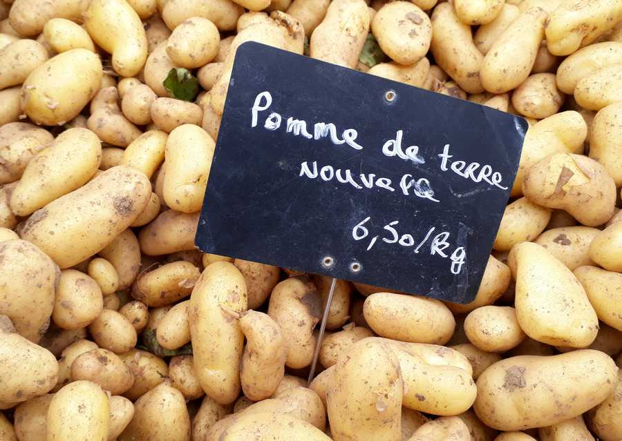 AIDEN - AIDEN Chantiers - maraichage - pommes de terre nouvelles