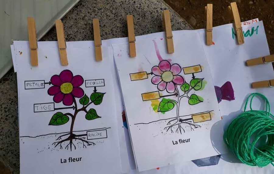AIDEN - Animation Oullins - dessins