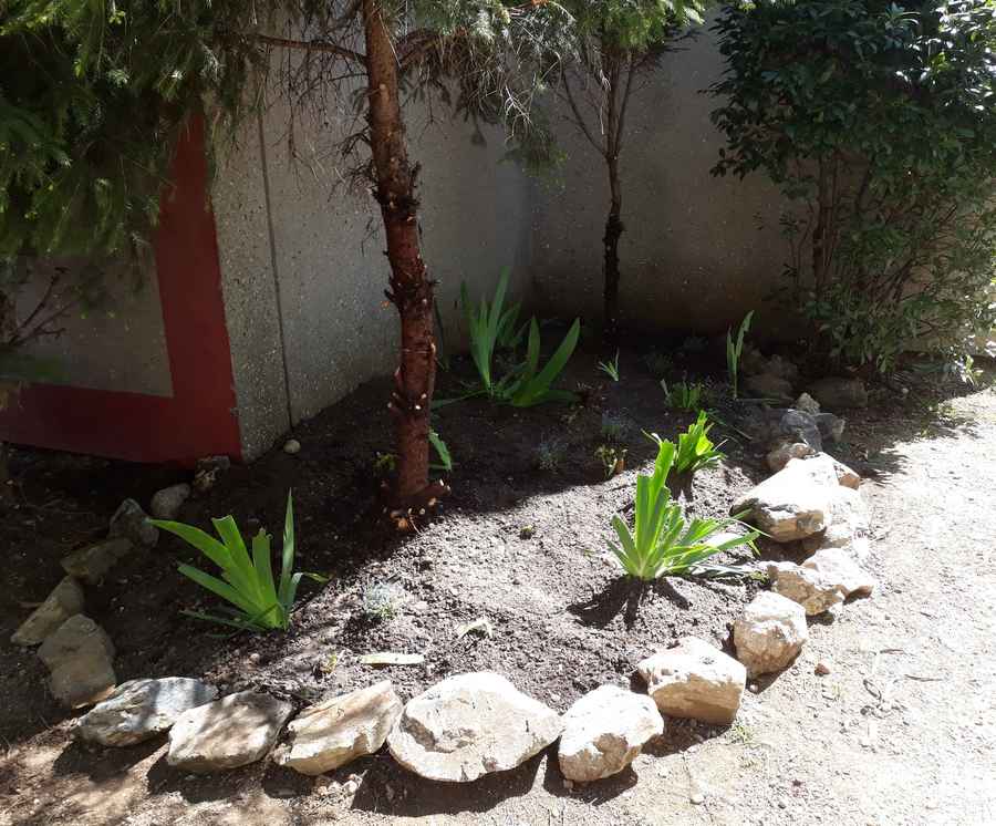 AIDEN - Animation Oullins - jardiniere plantee
