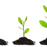 AIDEN - AIDEN Chantiers - don 2