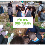 Des enfants autour d'une loupe regardant dans le sol